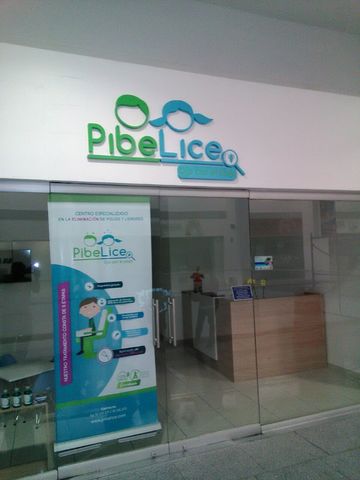 Pibelice logotipo en aluminio pintado